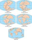 The theory states that the Earth's crust is divided into plates that move