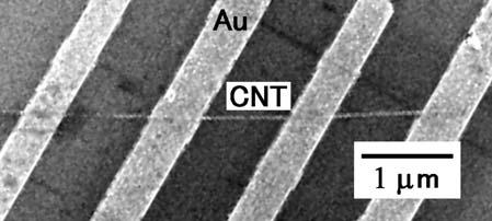 14 H = 0 T Fig.1 SEM image of a multi-walled carbon nanotube and gold contacts for transport measurements. The stripe shaped gray areas are gold leads and a fine line presents a nanotube.