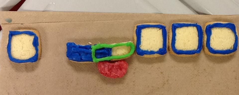 Figure 1 Lac operon in repressed state. Shortbread cookies lined in blue (from left to right) Lac 1 gene, Lac z gene, Lac y gene and Lac a gene.