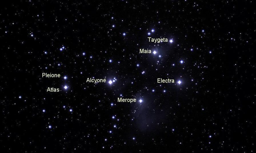 NEWBURY ASTRONOMICAL SOCIETY MONTHLY MAGAZINE FEBRUARY 2018 SEVEN BEAUTIFUL SISTERS Almost directly overhead this month, in the constellation of Taurus, is the beautiful Open Star Cluster known as