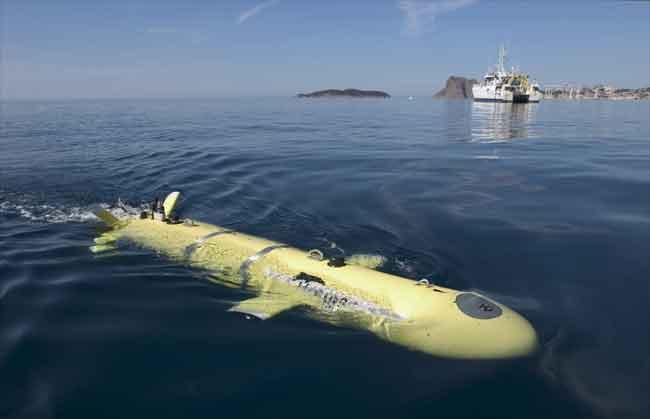 Design & Equation Carrier Autonomous Underwater Vehicule: AsterX IFREMER: French Research Institute for Exploitation of the Sea Navigation: INS + DVL + USBL