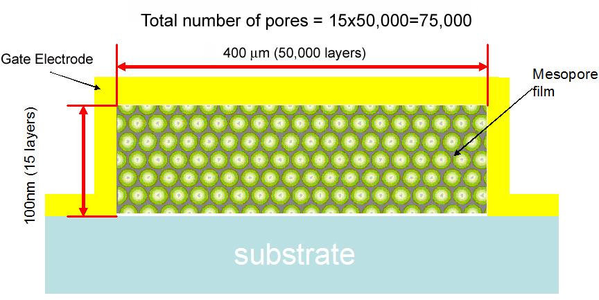V. Estimation of single pore conductance The sample geometry was precisely defined in the microscopic patch device described in Fig S3.
