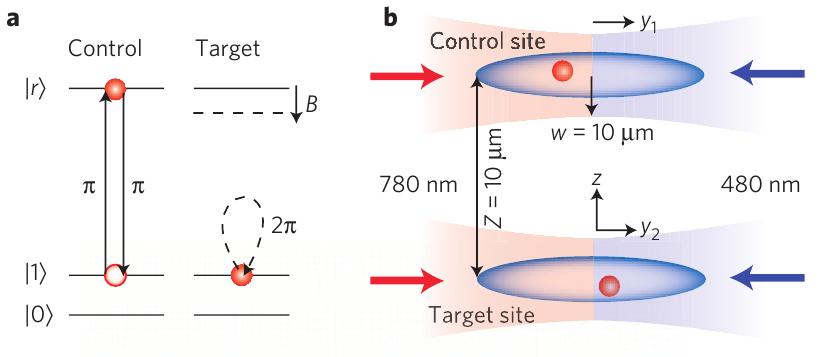 Blockade Between Adjacent Dipole Traps Implemented a phase gate The state of the target atom, after
