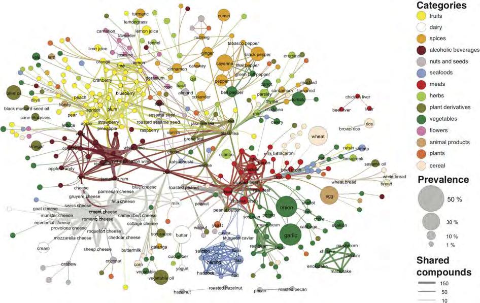 Real-world Networks: Systems to Graphs Dolphin Social Network Nodes: Bottlenose