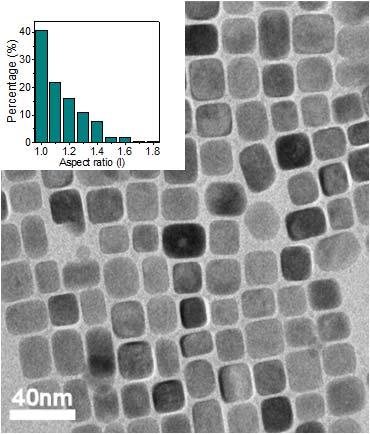 Figure S1. Low magnification TEM image of the cube-like BaTiO 3 nanoparticles.