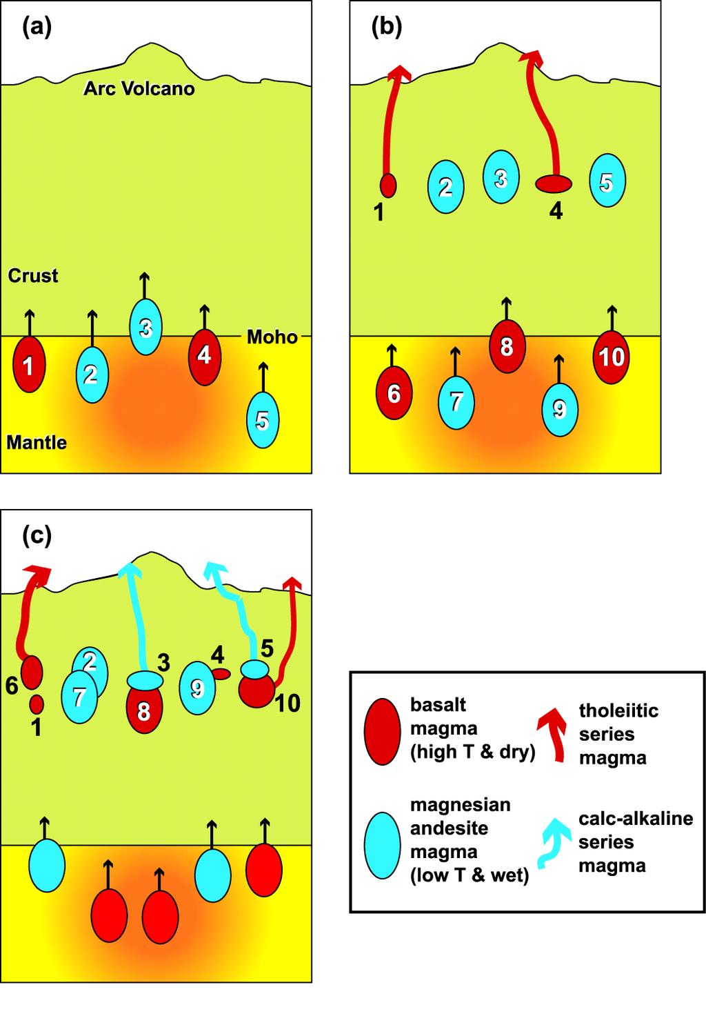 Fig. 4 Model for evolution of mantle-derived basalt and magnesian andesite in higher-level magma chambers (Tamura & Tatsumi, 2002).