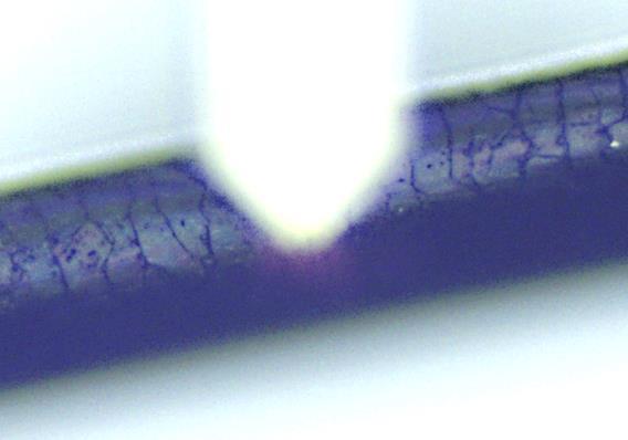 Application Integrated optical microscope outlines sample area on a human hair Internal brightfield microscope allows do identify suitable sample locations at spatial resolution < 1µm Characteristic