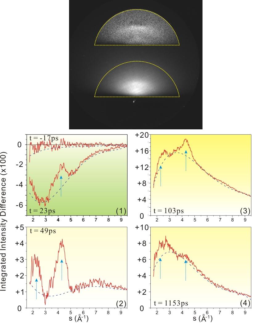 332 332 Fig. 4. (Top) Diffraction image difference following ultrafast heating of the thiolated substrates: t = 88 ps; reference t = 47 ps (upper).