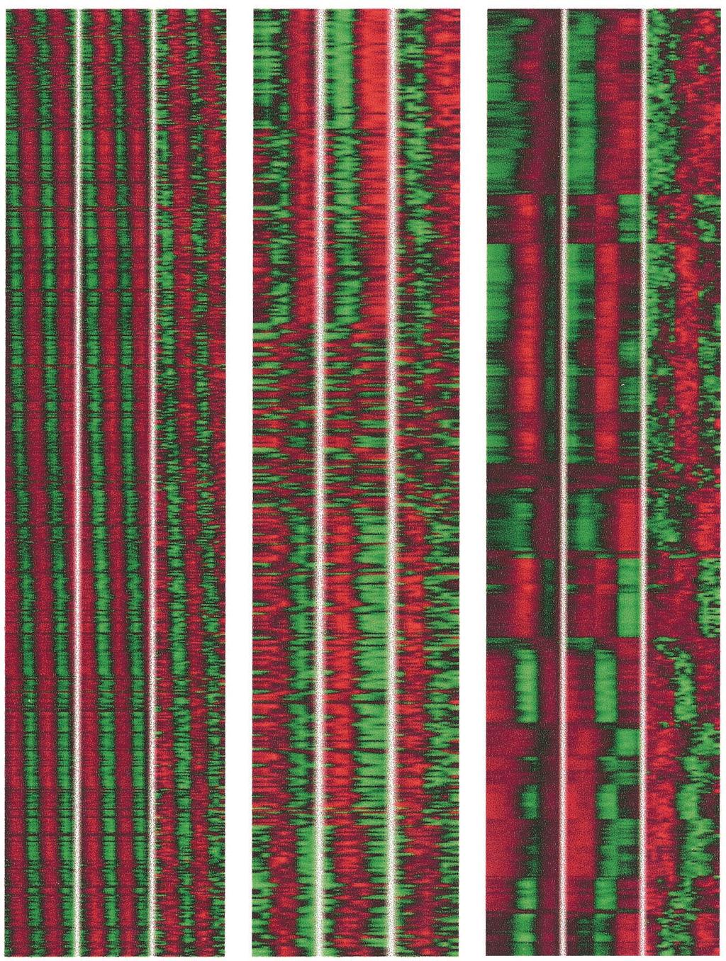 Fig. 3. A reconstruction of the expression profiles for the cdc15 (Left), sporulation (Center), and fibroblast (Right) data sets.