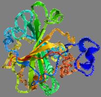 PDB 1A2 is Zn 2+ is