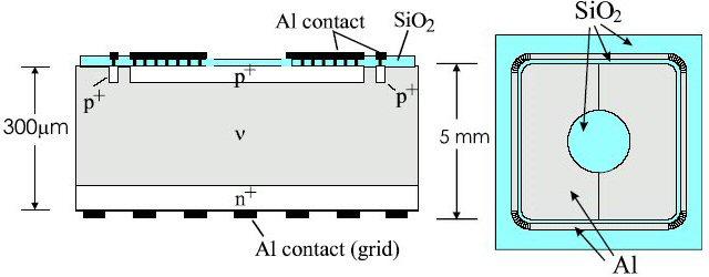 p-i-n (PAD) Sensors (cm -2 ) REVERSE BIAS Fixed V R ( 50V) I L Φ eq i L V R 1.