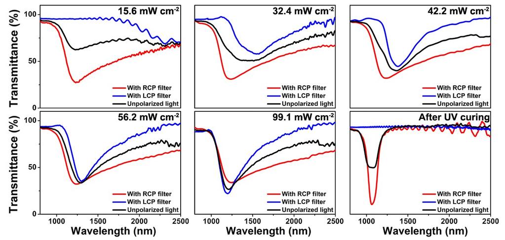 Figure S9. The unpolarized, RCP and LCP transmittance spectra of CLC (3.5 wt% M1 in LC513) exposed to UV light (15.