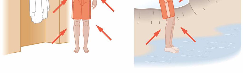 net is zero Example: A person jumps into a lake of icy water. He has a surface area of 1.15m 2 and a surface temperature of 303K.