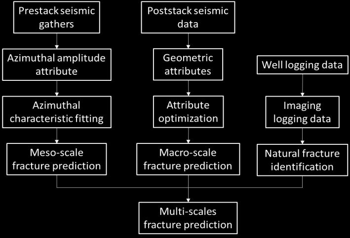 Figure 1 The procedure for integrated multi-scale fracture prediction with prestack and poststack seismic and well logging.