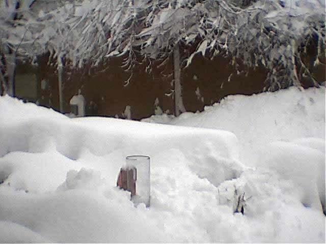 CoCo RaHS Gauge March 2003 Snowstorm Arapahoe