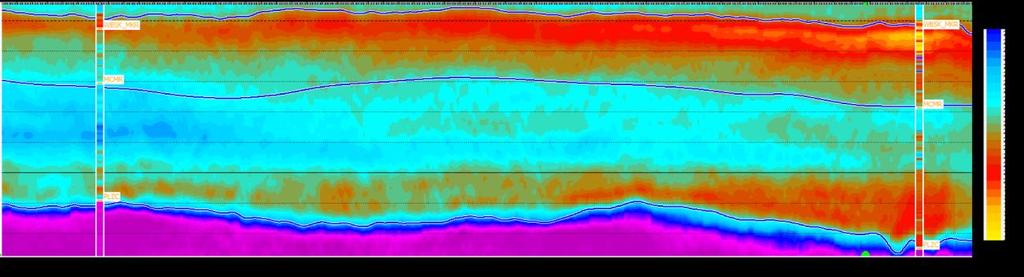 Figure 1. Density section from joint PP-PS prestack inversion. Inserted in color are density logs for two wells projected on the seismic section.
