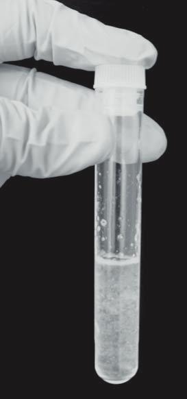 Place the cap on top of the glass tube and gently invert the tube two or three times to mix the solutions. (Vigorous shaking can prevent coacervates from forming.) 4. Observe the coacervate solution.
