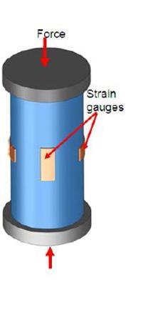 The load cell consists of a metal cylinder with strain gauges fixed