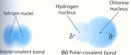 Non-polar: e- are shared equally btwn atoms Bonding between atoms of the same element or atoms