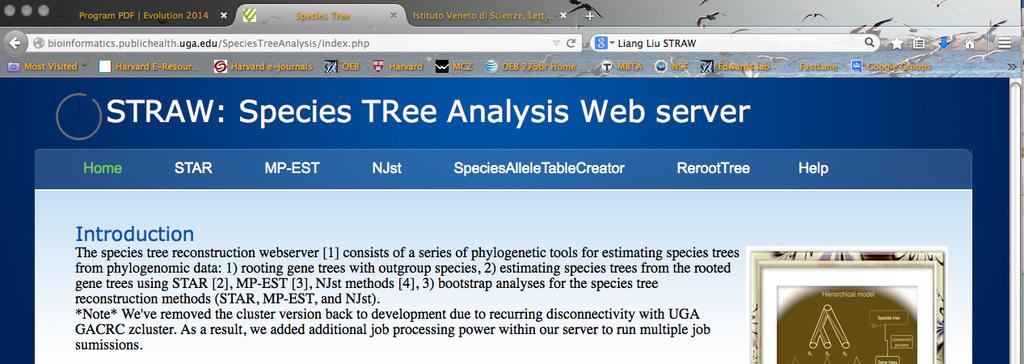 Species Tree Web Server: STRAW