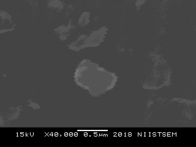 Figure 8.2: SEM image of magnetic nanoparticles Dynamic light scattering analysis showed four peaks of size intensity corresponding to 2.4 nm, 25.7 nm, 140 nm and 8000 nm (Fig 8.3).