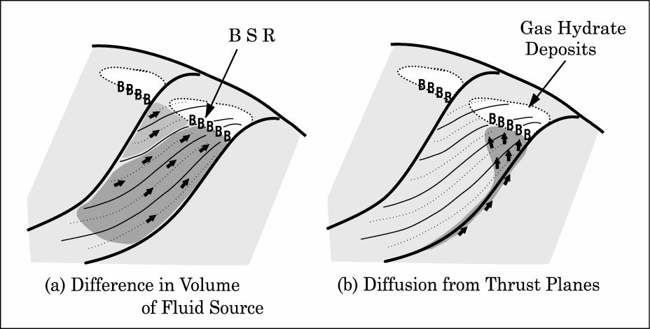 5. Fluid Migration As mentioned before, in the large thrust zone, BSR is discontinuous and shows a clear difference between hanging wall and foot wall occurrences.