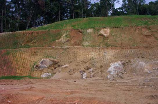Basalt: Basic/mafic igneous rock fine-grained (holohyaline), extrusive (volcanic).