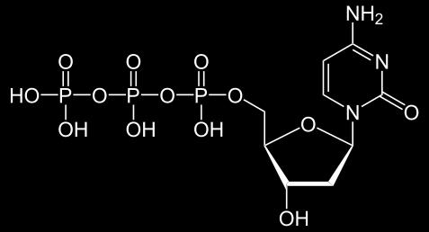 triphosphate) dctp (deoxycytidine