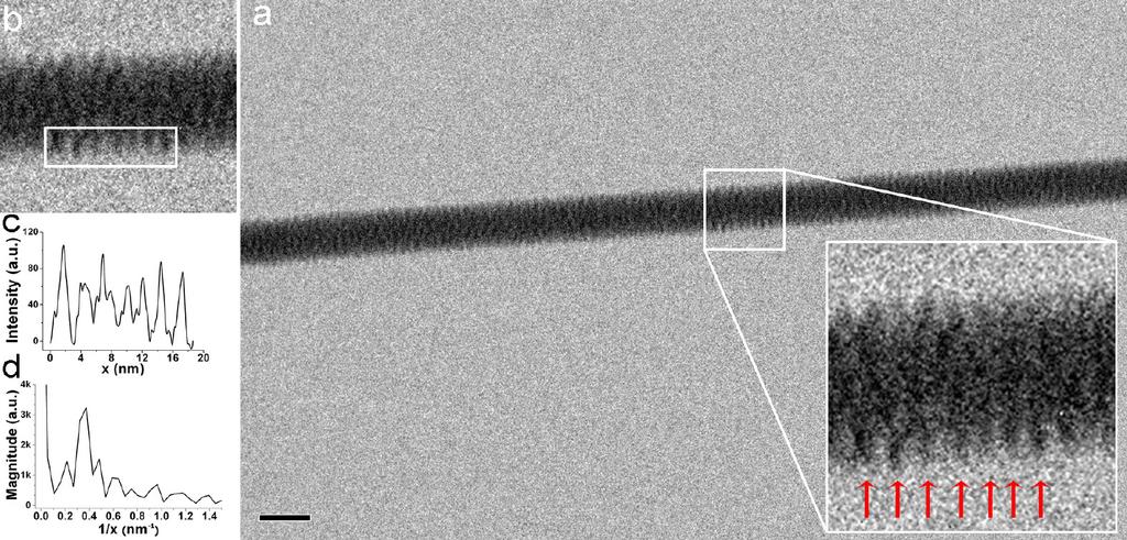 TEM image with intensity profile and corresponding FFT pitch calculation of λ-dna fibers. (a) DNA fiber TEM image.