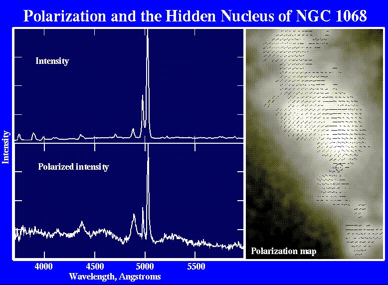 Support for unification: hidden emission lines Some Sy-2s show broad lines in polarized ligh