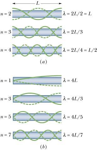 L n = n Standing waves in tubes open at one end and closed at the other The first four standing wave patterns are