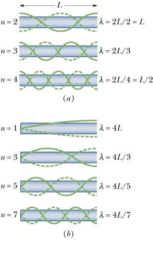 L The wavelength n = n + 1/ (17 11) Standing waves in tubes open at both ends The next three standing wave patterns