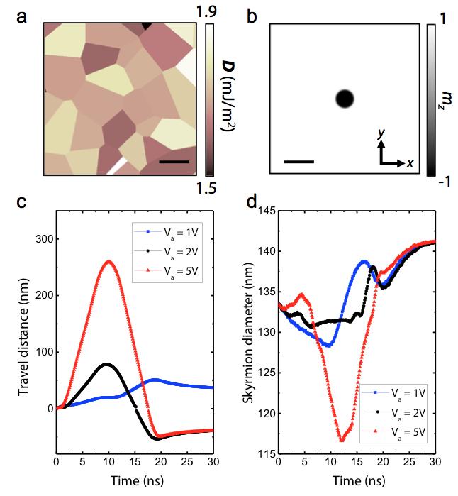 Supplementary Figure 8. Skyrmion dynamis in a ferromagnetic film with non-uniform DMI constant. (a) A simulated magnetic mesh and the distribution of DMI constant in the film.