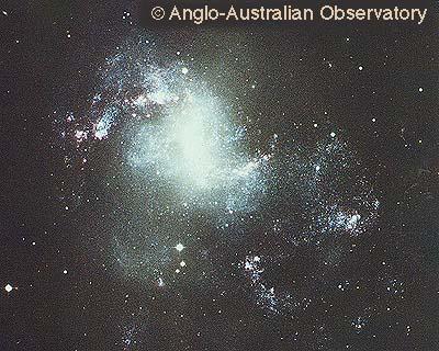 NGC 1313 (Irr I) Photograph by David Malin (AAO), with