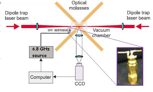 Quantum control of cold atoms using microwaves 4 atoms through absorption image. Atomic absorption casts a shadow which is detected by the CCD camera.
