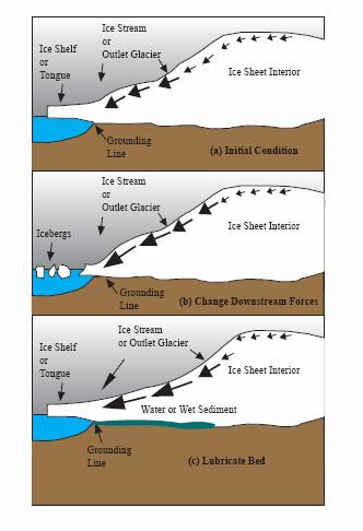 Uncertainties II Greenland and WAIS Loss of ice shelves Rapid propagation up the ice stream; Antarctic Peninsular and