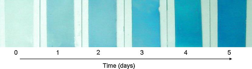 54 Y. Galagan et al. / Sensors and Actuators B 144 (2010) 49 55 Fig. 9. Gradual color transition in HEMA/TCDDA/MB 100 m film. at specific measuring temperature.