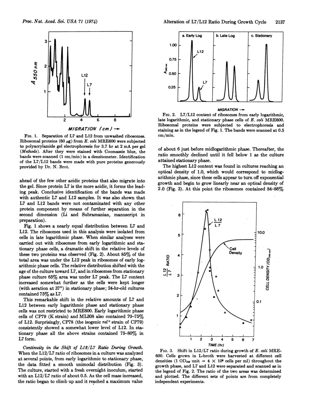 Proc. Nat. Acad. Sci. USA 71 (1974) Alteration of L7/L12 Ratio During Growth Cycle 2137 31 1.00 b. Late Log c. Stationary I') 'C) 2 I E 0.75 "It 0.50 0.25 I1i t 2 4 6 8 MIGRA TION (cm) --* FIG. 1. Separation of L7 and L12 from unwashed ribosomes.