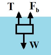 T mg F γ Vol γ Vol Volume Volume b block water T T γ γ γ ( S 1) block