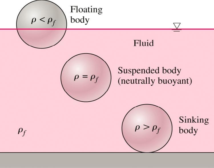 Stability of Immersed and Floating Bodies Buoyancy force F B is equal only to The displaced volume * specific