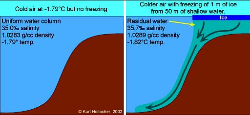 Thermohaline Circulation In the polar oceans in winter, fresh water freezes out of surface waters, leaving behind saltier, colder,