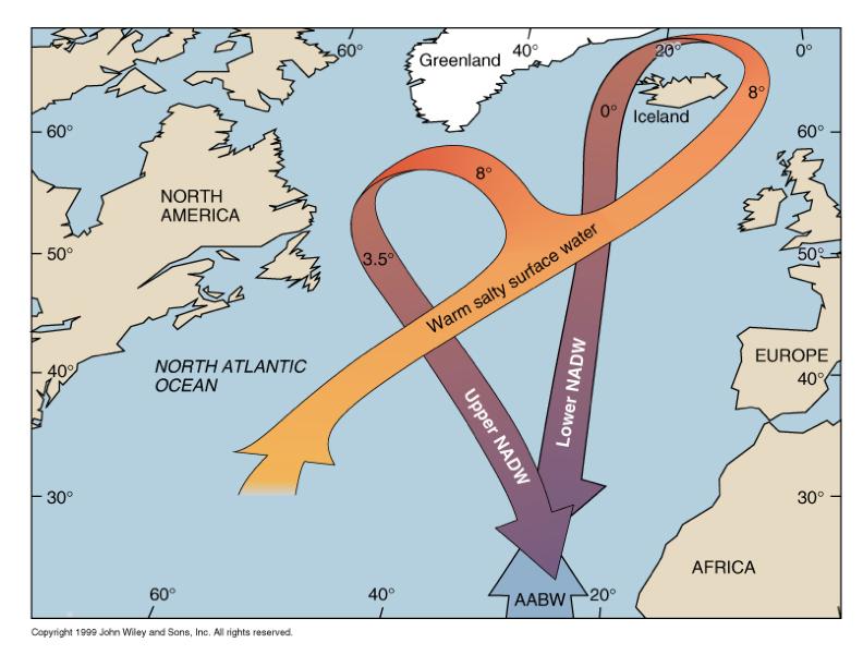 Thermohaline Circulation North Atlantic Deep Water (NADW) forms