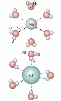 Solutions Process Solution formation is entropy-driven NaCl dissolving in water: 1) Interrupting H-bonds in water