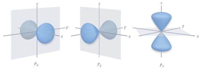 There is only one s orbital in a given principle quantum number level.