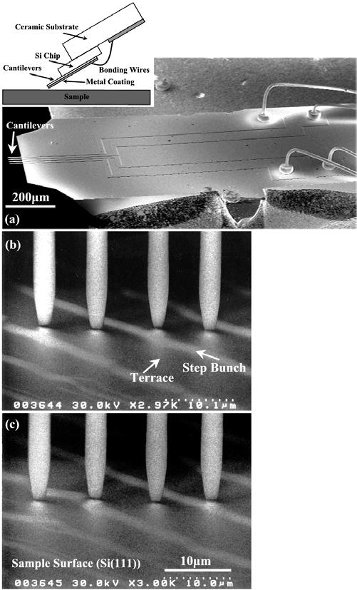 Direct measurement of surface-state conductance by microscopic four-point probe method 8381 Figure 2. Amicro-four-point probe. (a) SEM image of the chip.