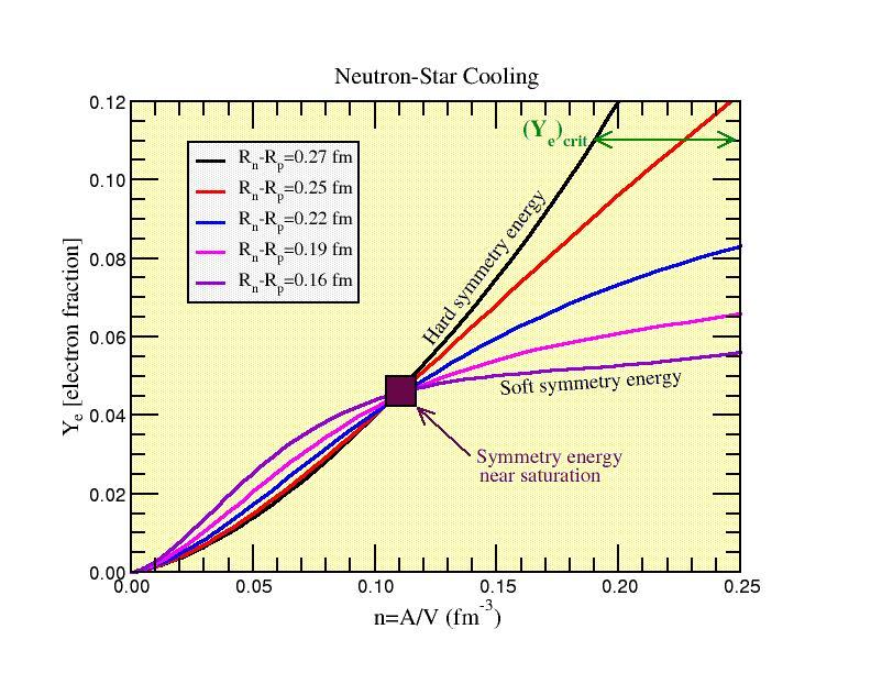 Neutron star radius (Mass vs Radius).