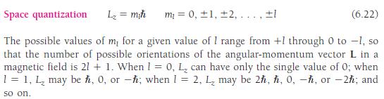 the orbital quantum number l determines the magnitude L of the electron s angular momentum L.