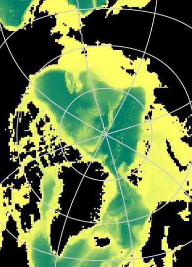 Arctic Ocean Circulation