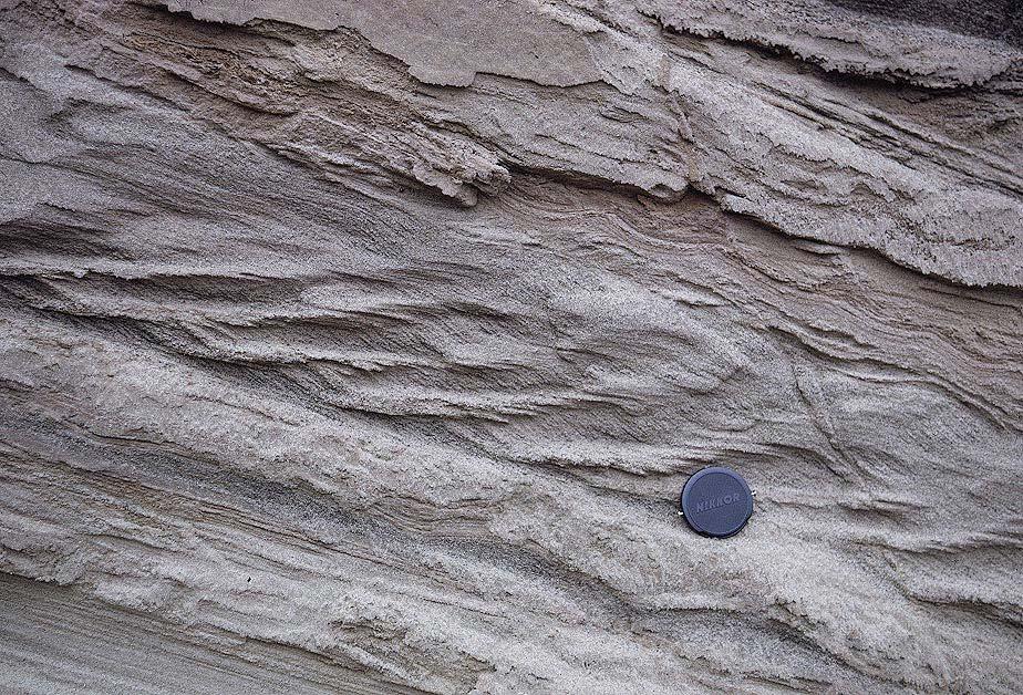 Primary sedimentary structures > Stratification & bedforms > Bedforms
