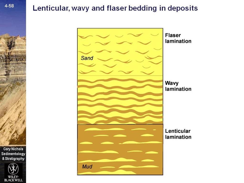 Primary sedimentary structures > Stratification & bedforms > Cross-stratification Flaser & lenticular bedding mixture of sand and mud
